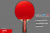 Теннисная ракетка Start line Level 200 New (прямая) 12306 Теннисная ракетка Start line Level 200 New (прямая) 12306